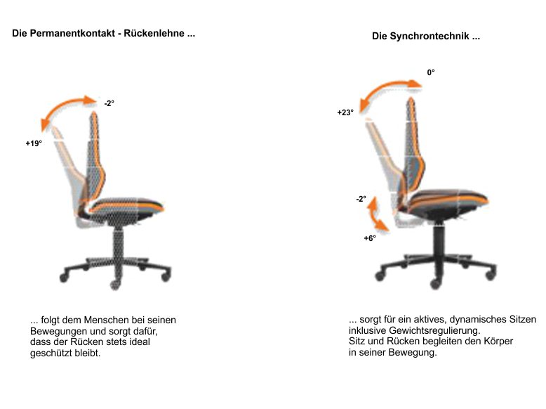 Synchron + Permanent bimos dh-focus